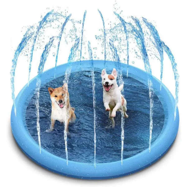 Dog Sprinkler Splash Pad