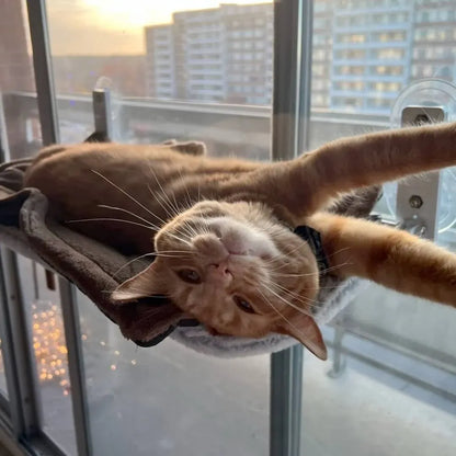 Foldable Cat Hammock