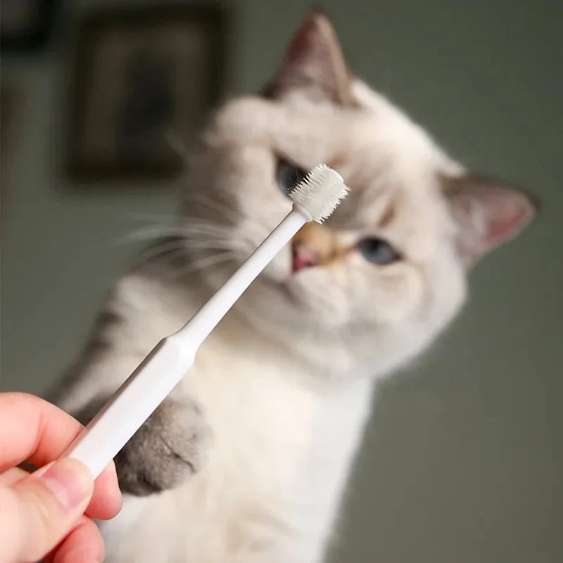 Cat Toothbrush Soft Hair Brush