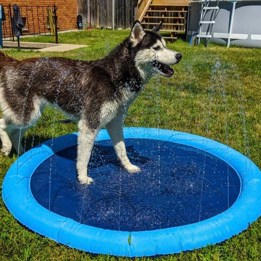 Dog Sprinkler Splash Pad