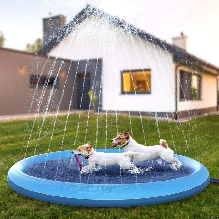 Dog Sprinkler Splash Pad